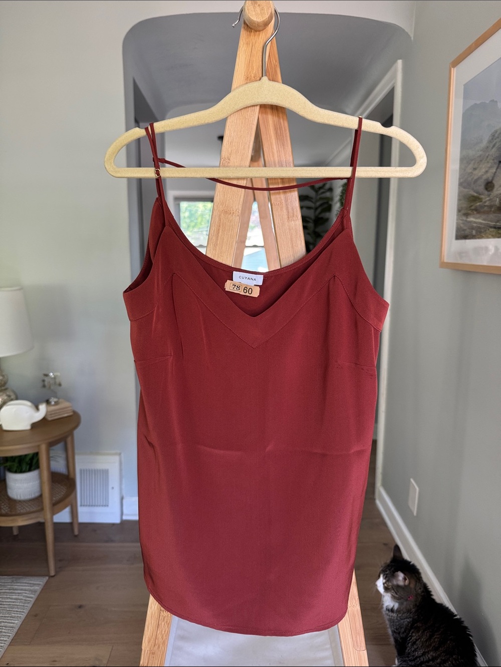 Cuyana Burnt Orange Scoop V Neck Silk Tank